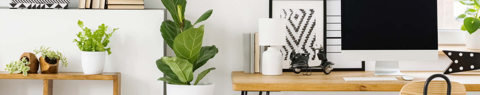 Mesafeli Satış Sözleşmesi cover